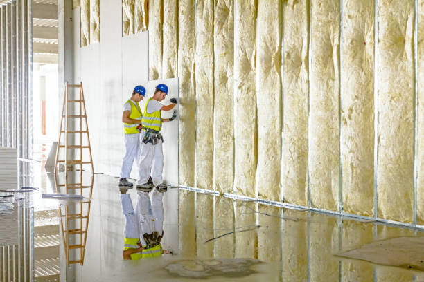 Best Insulation Installation Services in Valley Mills, TX